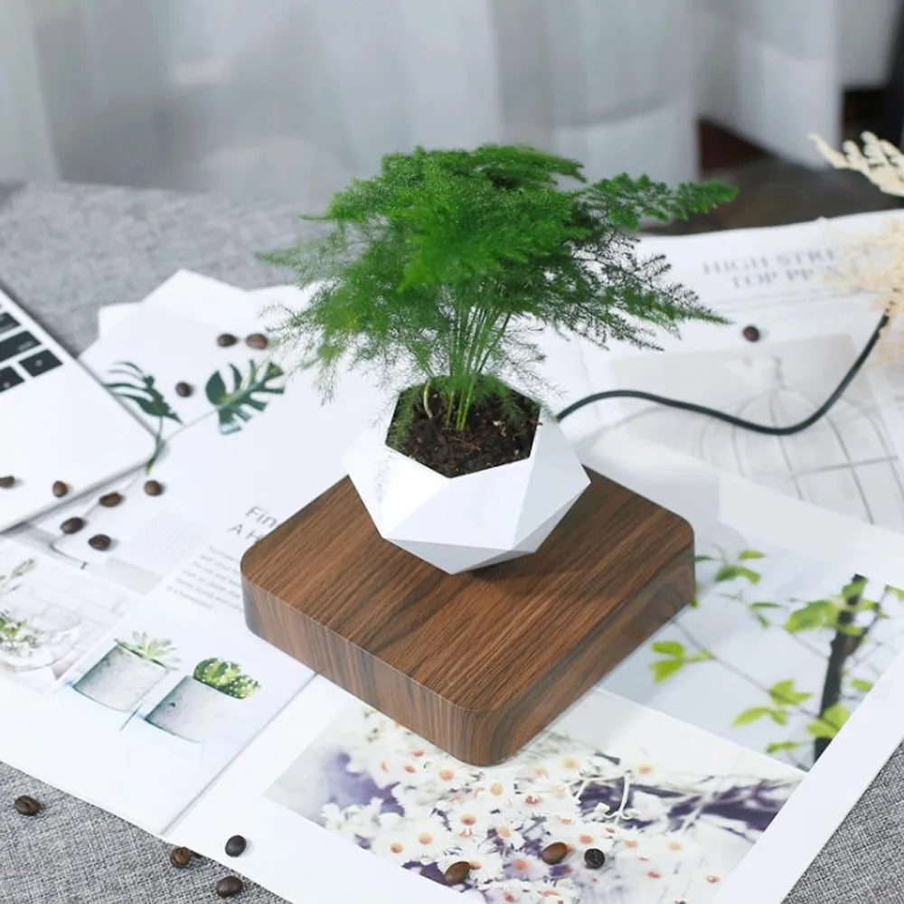 Levitating Air Bonsai Pot Rotation Flower